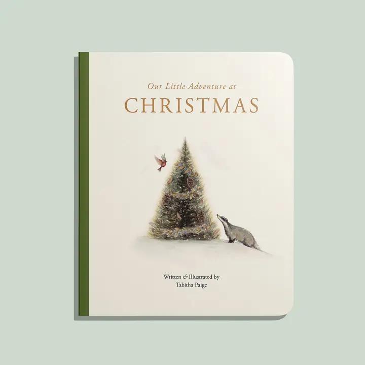 Our Little Adventure At Christmas (Baby&