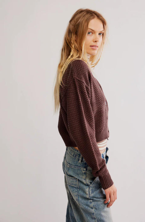 Lila Cardi in Potting Soil