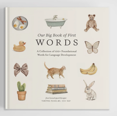 Our Big Book of First Words