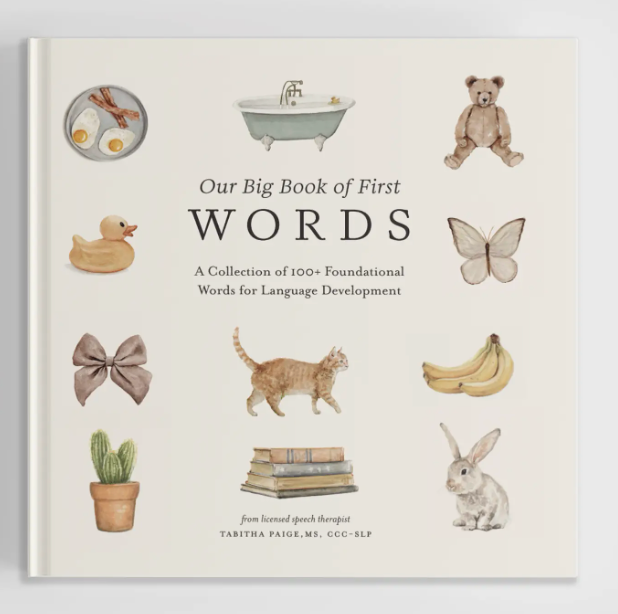 Our Big Book of First Words