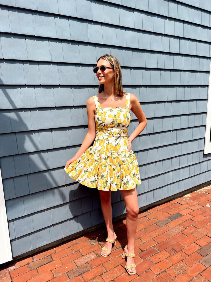 Lemon Linens Mini Dress