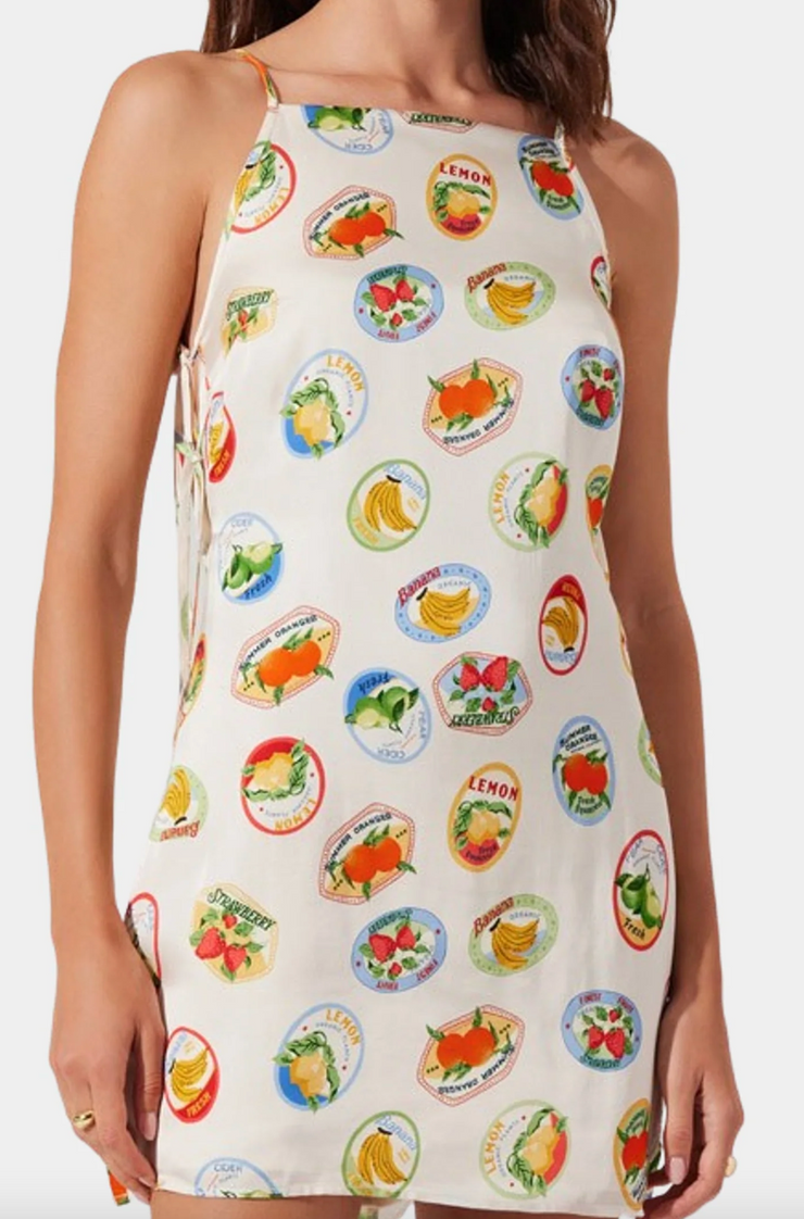 Samira Mini Dress