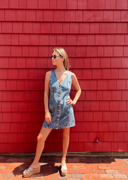 Tanela Dress